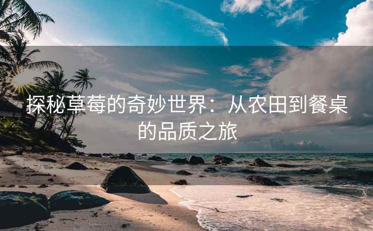 探秘草莓的奇妙世界：从农田到餐桌的品质之旅
