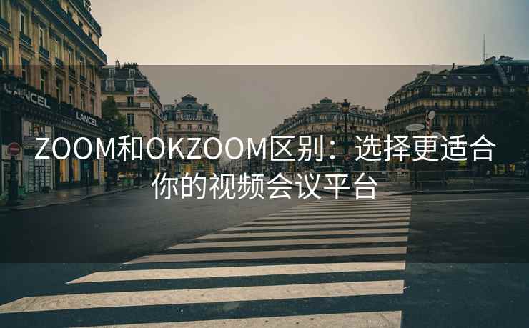 ZOOM和OKZOOM区别：选择更适合你的视频会议平台