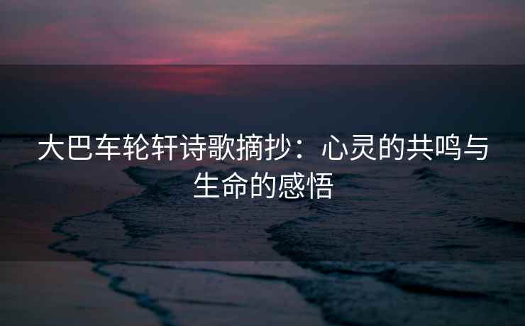 大巴车轮轩诗歌摘抄：心灵的共鸣与生命的感悟