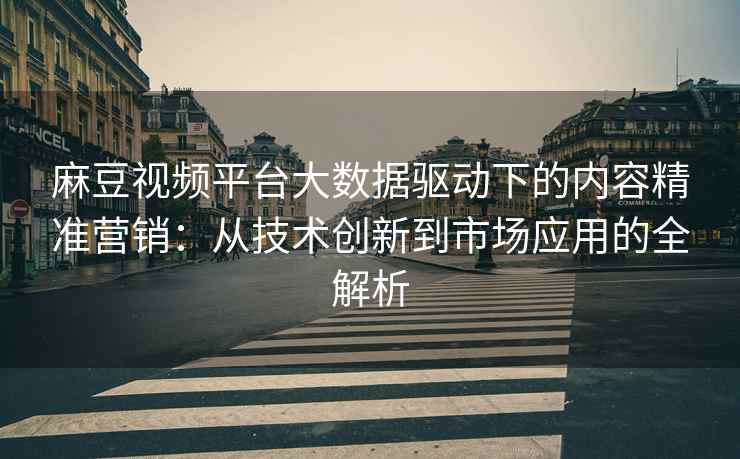 麻豆视频平台大数据驱动下的内容精准营销：从技术创新到市场应用的全解析