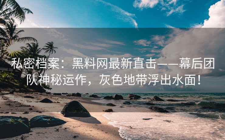 私密档案：黑料网最新直击——幕后团队神秘运作，灰色地带浮出水面！