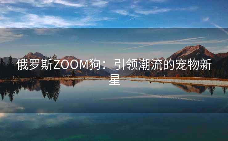 俄罗斯ZOOM狗：引领潮流的宠物新星
